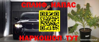 индика Рыбинск