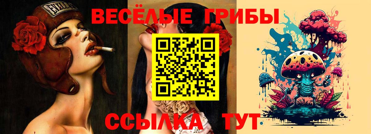 Галлюциногенные грибы Psilocybe  Вход с VPN  Полысаево  Галлюциногенные грибы Cubensis 
