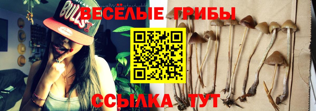 Галлюциногенные грибы мухоморы Полысаево